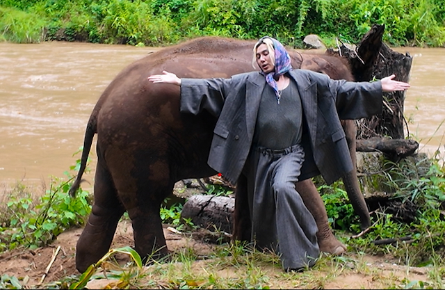 『NHK MUSIC SPECIAL　藤井 風～いま、世界で～』