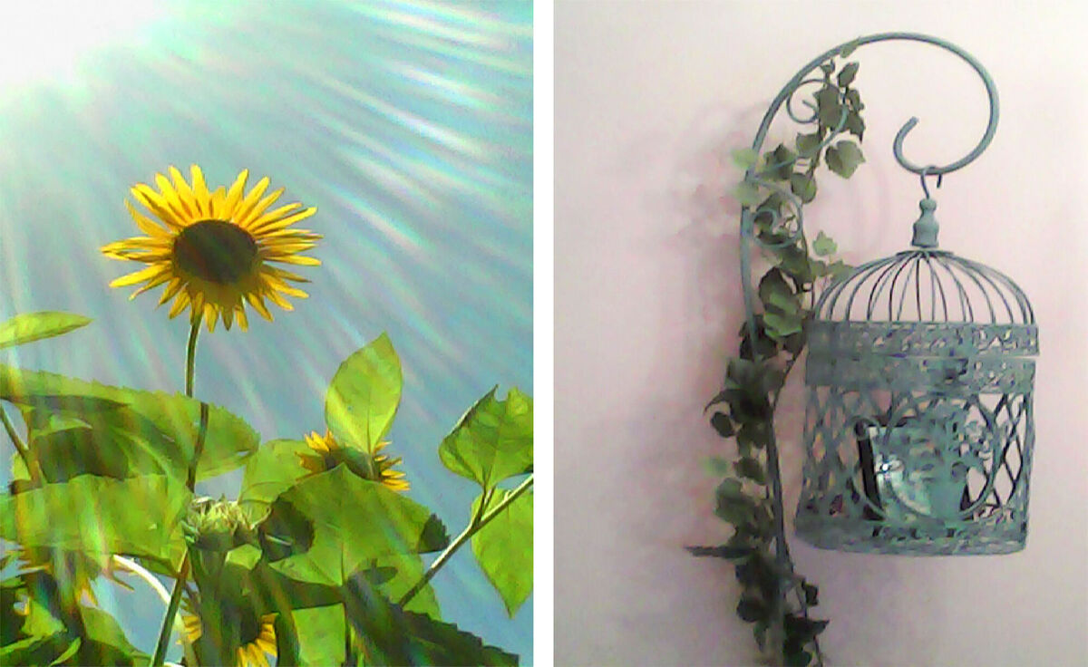 クラシック風トイカメラに新色の画像