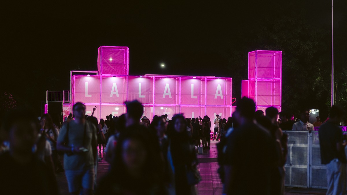 実はこれ登れるんですよの画像