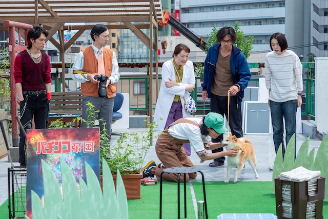 大東駿介×飯豊まりえ『シバのおきて』対談の画像