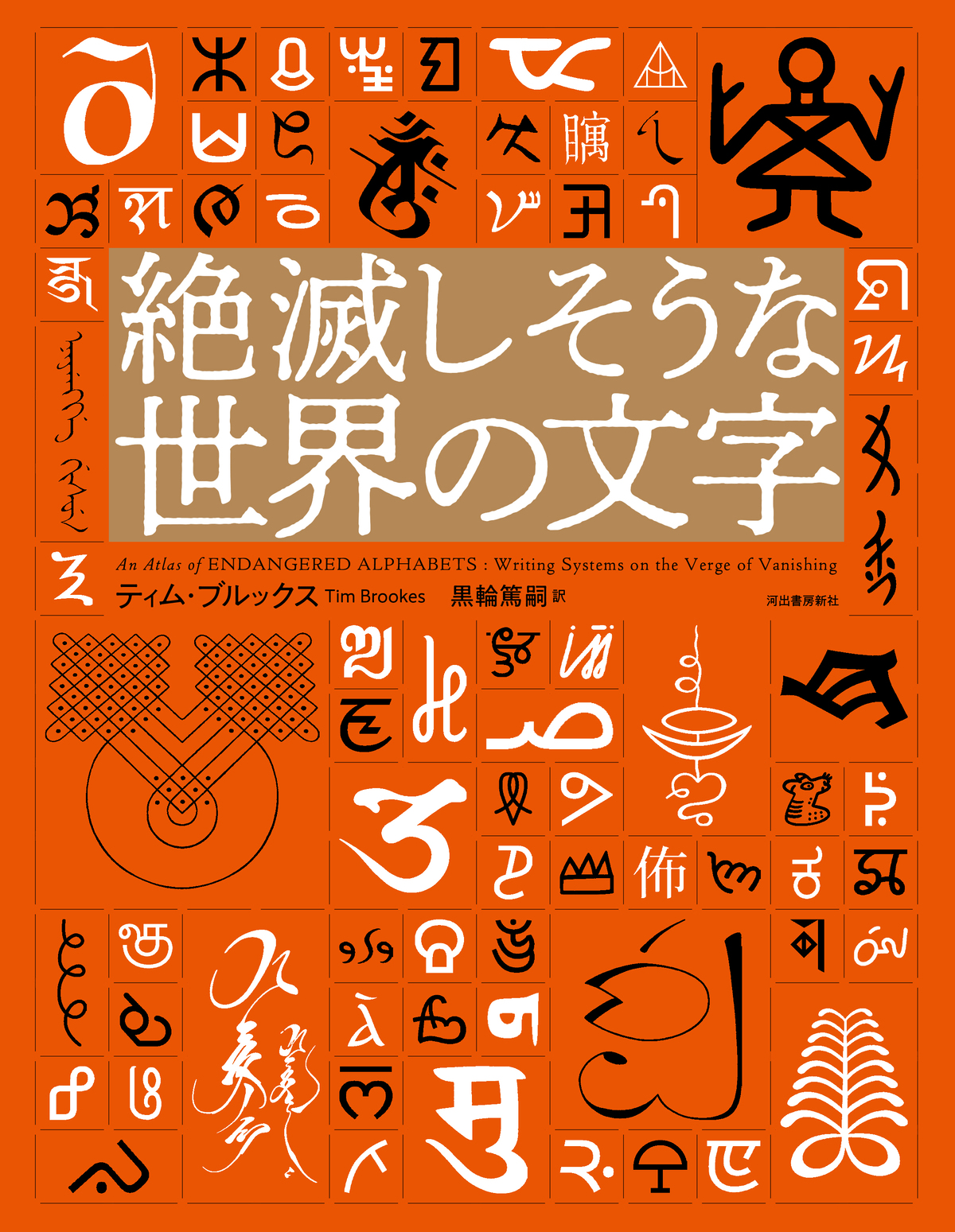 『絶滅しそうな世界の文字』の画像