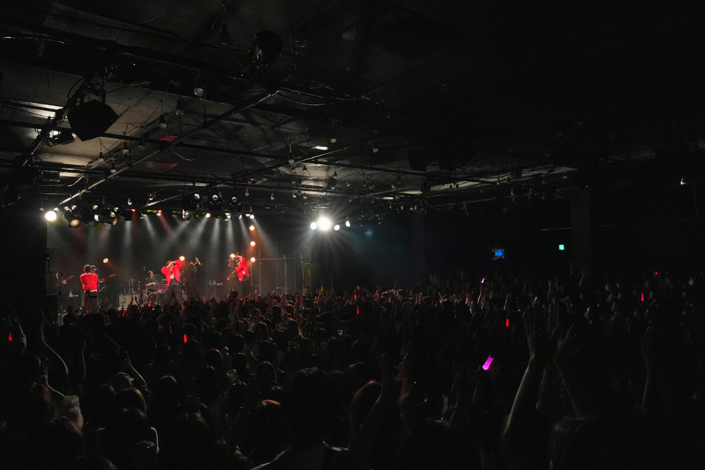 Bestted ライブ写真