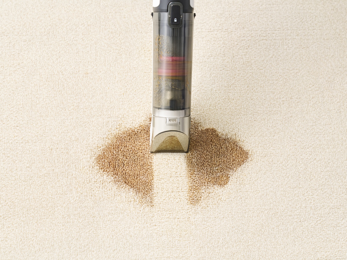 Shark、液体汚れ専用ハンディ登場の画像