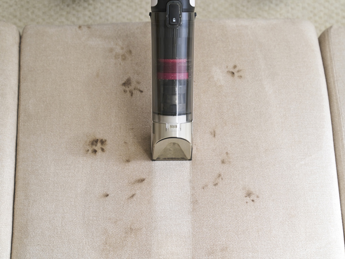 Shark、液体汚れ専用ハンディ登場の画像