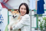 『シバのおきて』津田健次郎の柴犬声も最高の画像