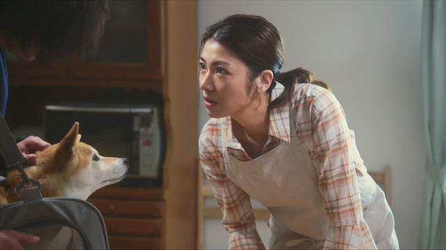 『シバのおきて』津田健次郎の柴犬声も最高の画像