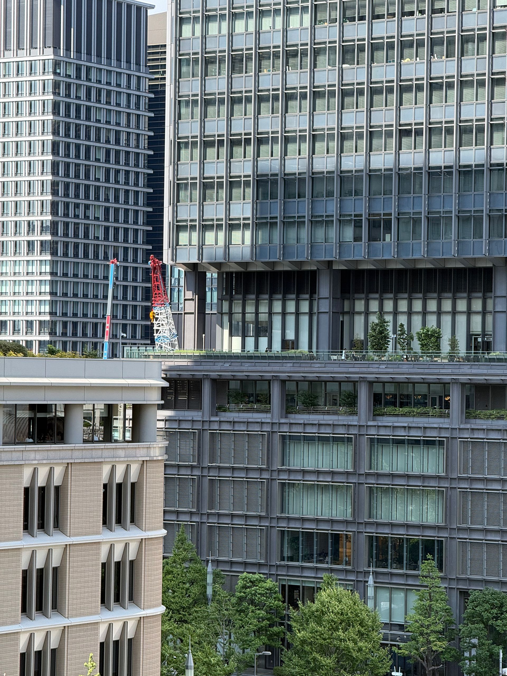 『iPhone 17 Pro』作例付きレビューの画像