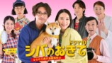 MEGUMI、『シバのおきて』柴犬役で出演の画像