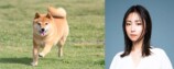 MEGUMI、『シバのおきて』柴犬役で出演の画像