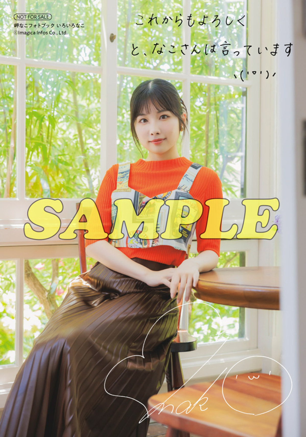 岬なこ連載2年間分をまとめたフォトブックの画像