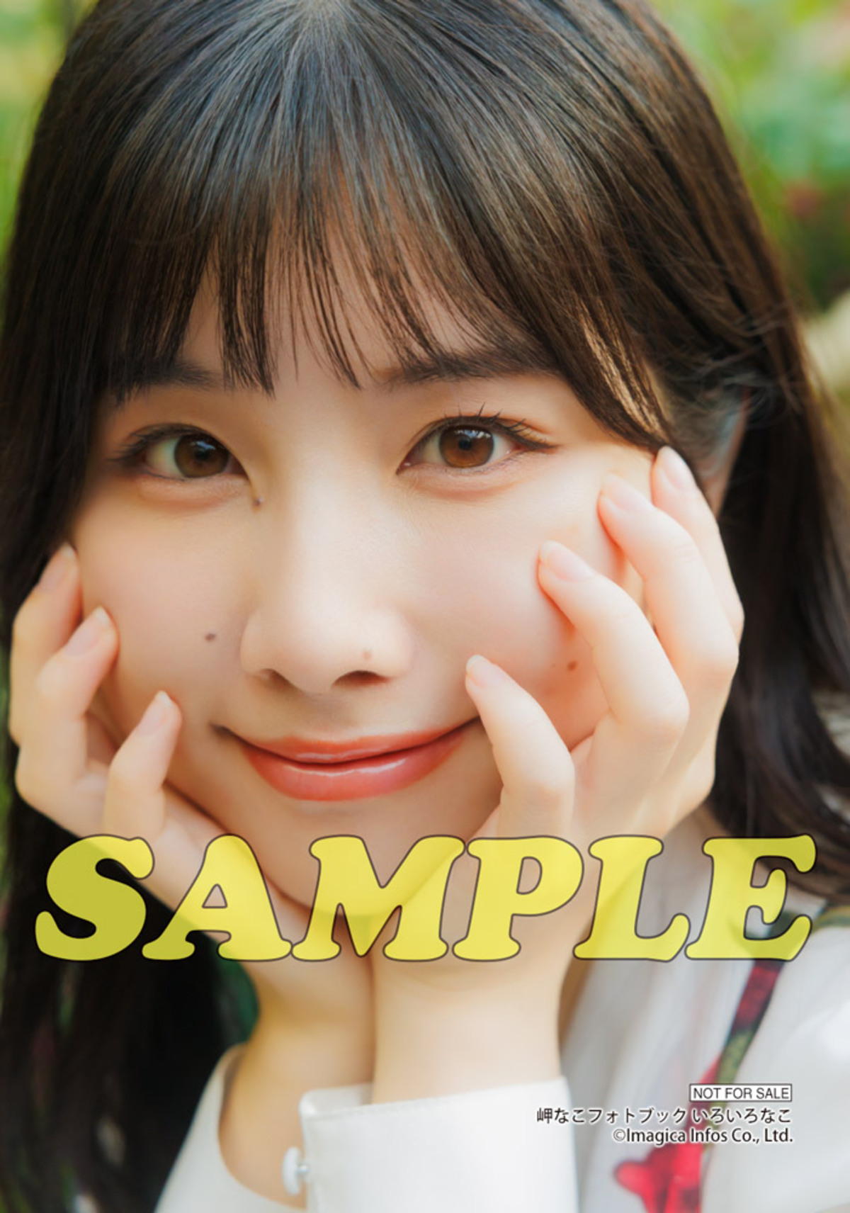 岬なこ連載2年間分をまとめたフォトブックの画像