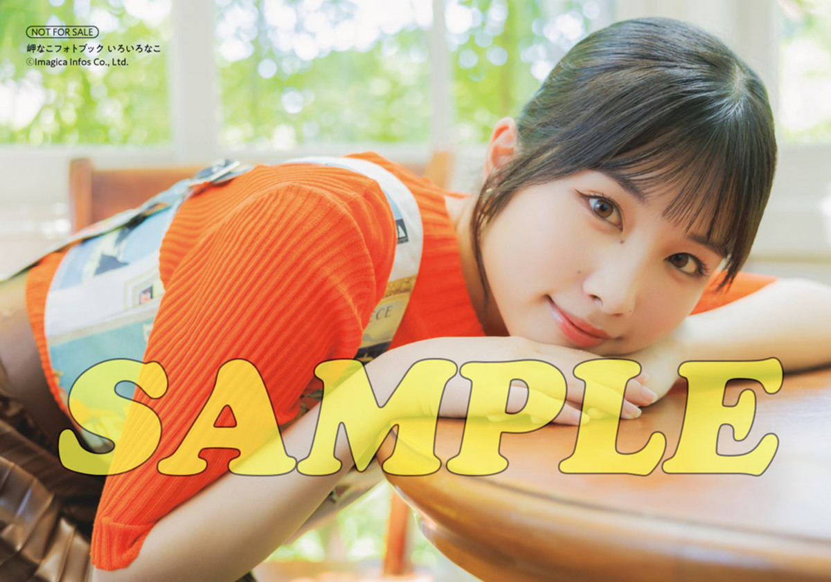 岬なこ連載2年間分をまとめたフォトブックの画像