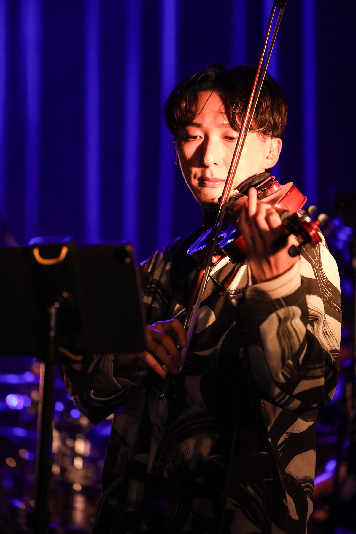 wapiti（撮影＝Tomoki Abe）