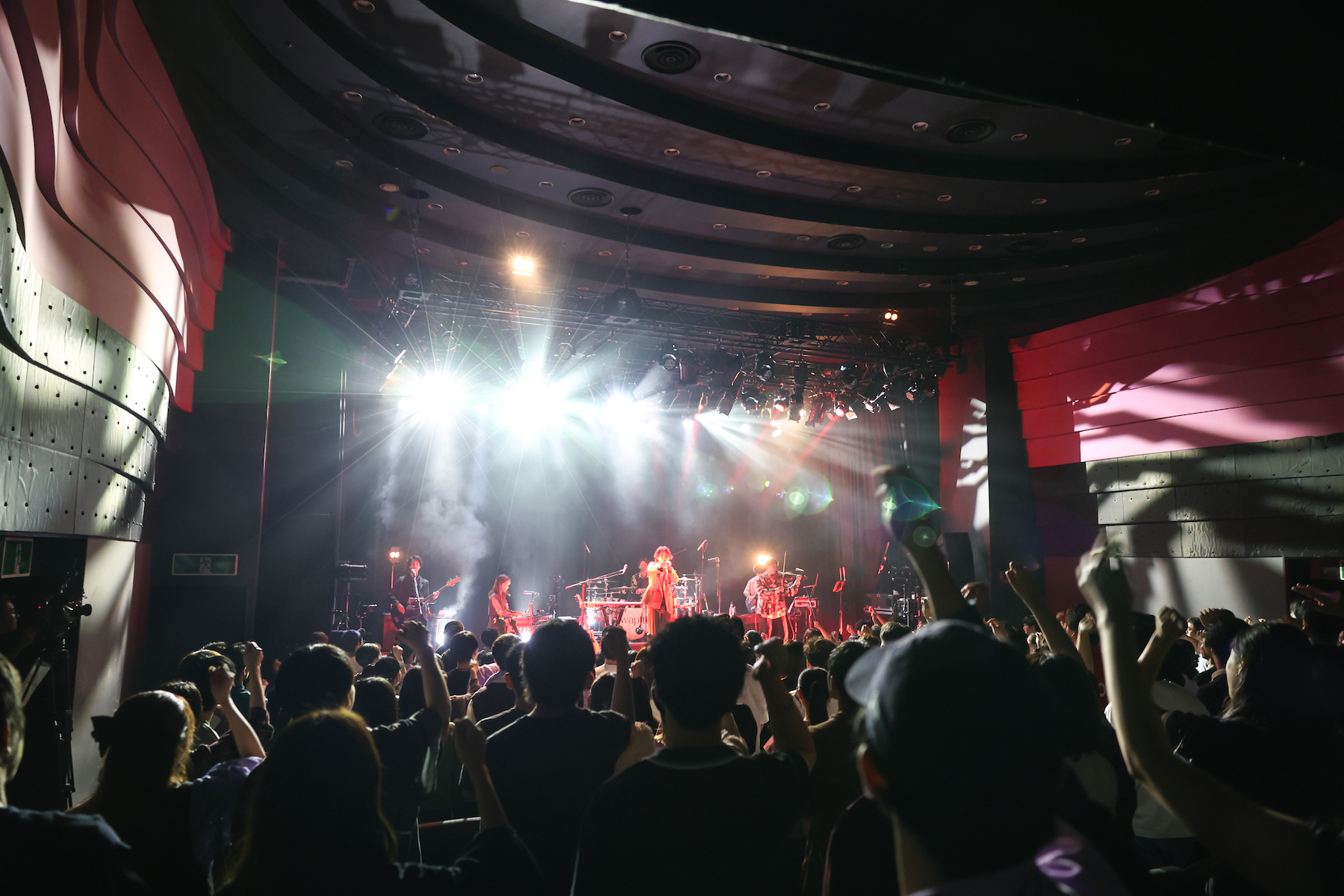 wapiti（撮影＝Tomoki Abe）