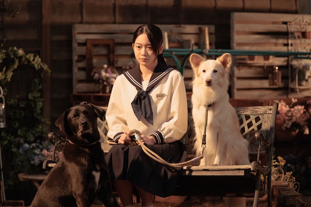 『ぼくたちん家』スタジオセットの裏側の画像