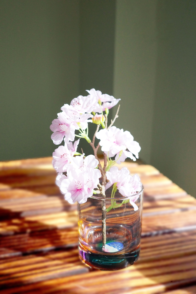 “逢瀬の桜〜THANK YOU SO MUCH!!〜”