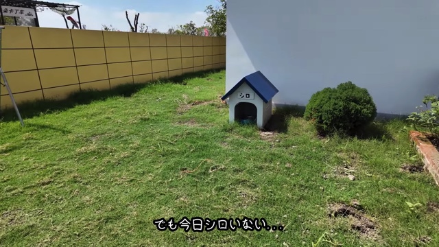 鈴木優香が紹介した中国にある『クレヨンしんちゃん』の家