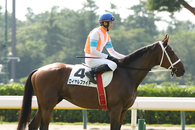 『ザ・ロイヤルファミリー』妻夫木聡の真骨頂の画像