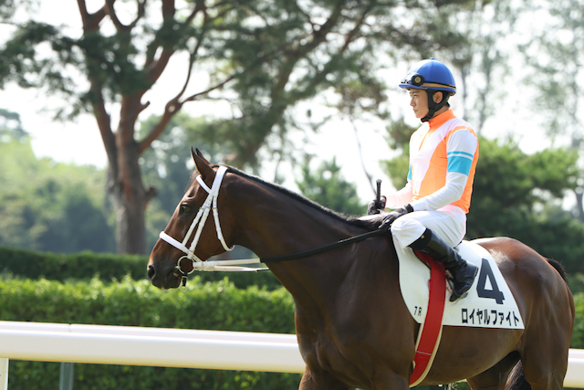 『ザ・ロイヤルファミリー』妻夫木聡の真骨頂の画像