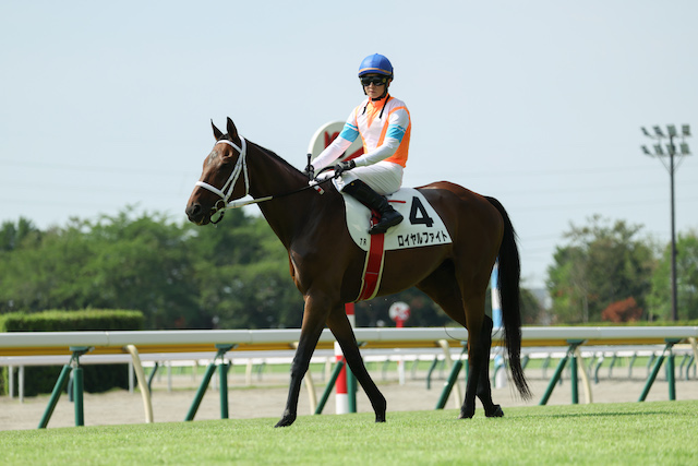 『ザ・ロイヤルファミリー』妻夫木聡の真骨頂の画像