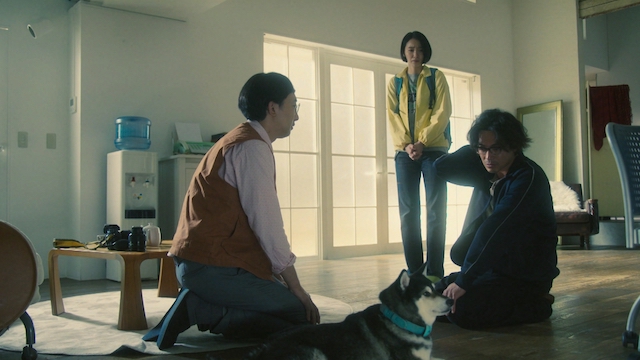 『シバのおきて』“犬バカ”が共感を呼ぶ理由の画像