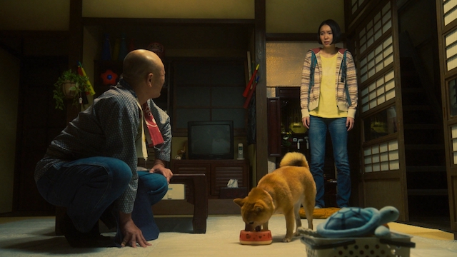 『シバのおきて』“犬バカ”が共感を呼ぶ理由の画像