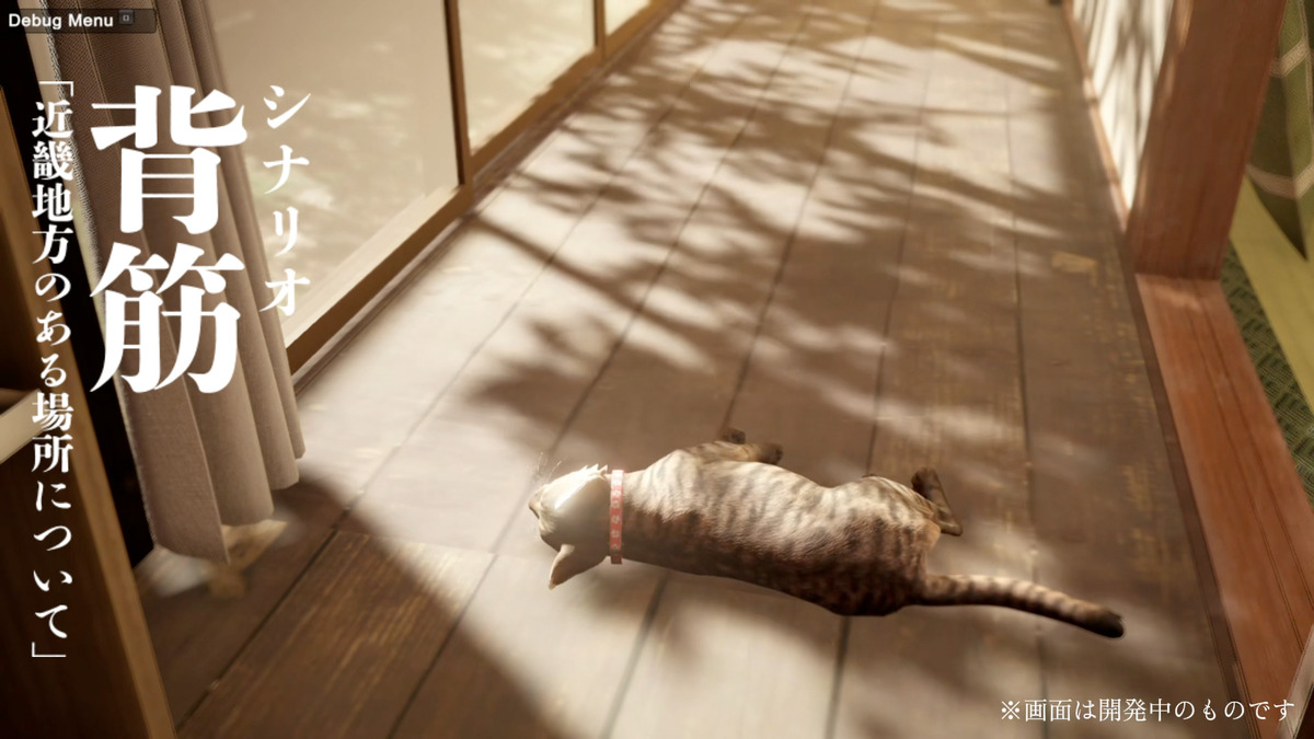 背筋が手掛ける『まだ猫は逃げますか？』の画像