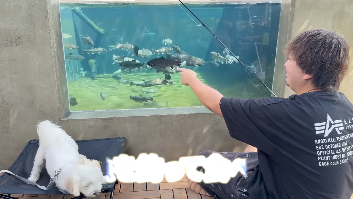 DIY系YouTuber、“庭に作った池”で釣りに挑戦の画像