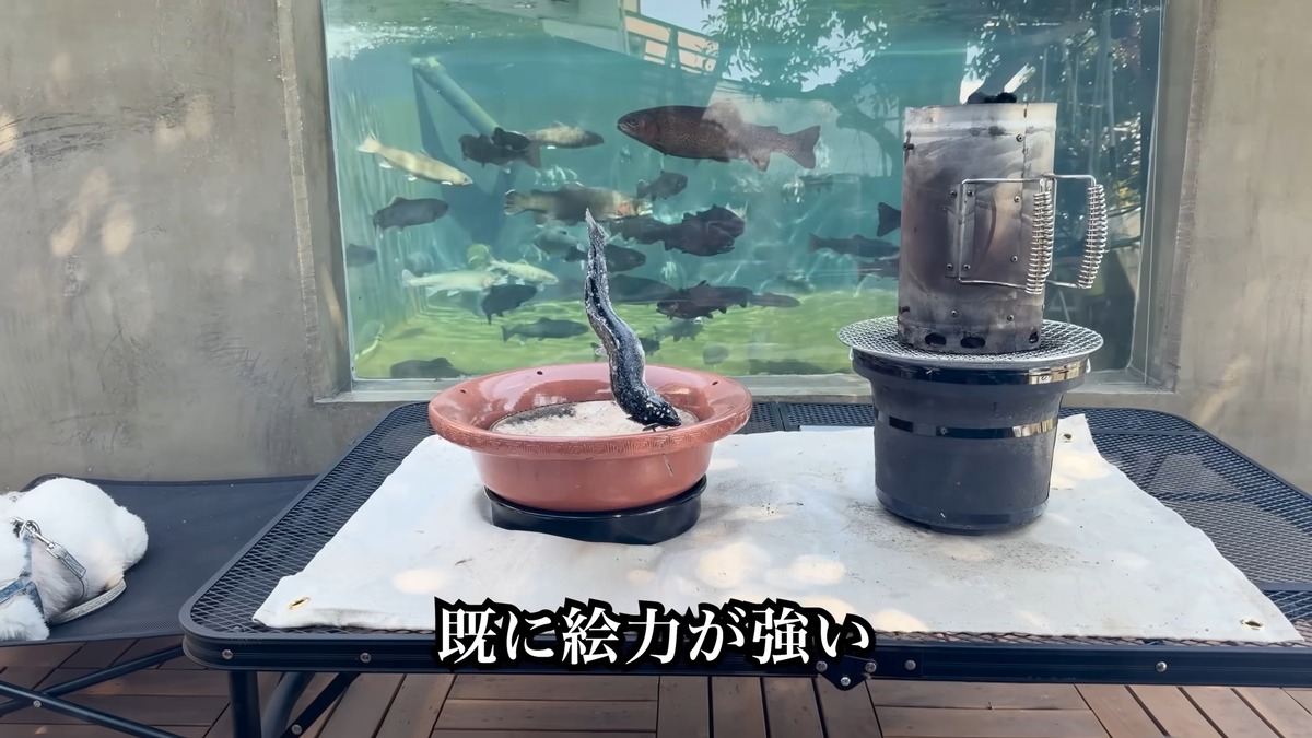 DIY系YouTuber、“庭に作った池”で釣りに挑戦の画像