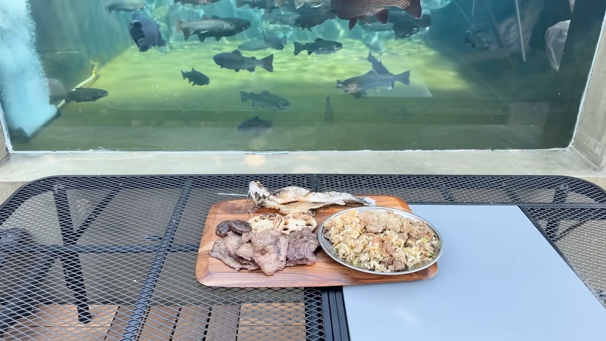 DIY系YouTuber、“庭に作った池”で釣りに挑戦の画像