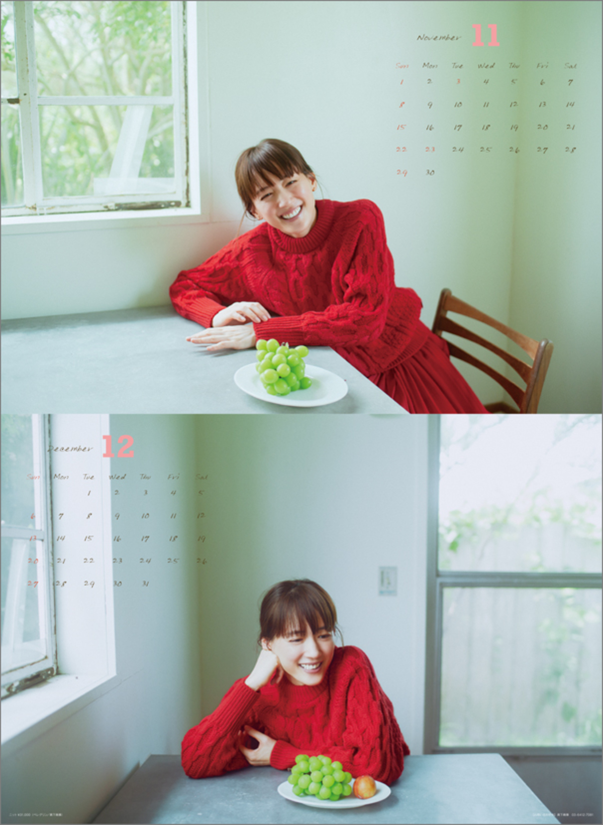 綾瀬はるか、2026年版カレンダーが発売の画像