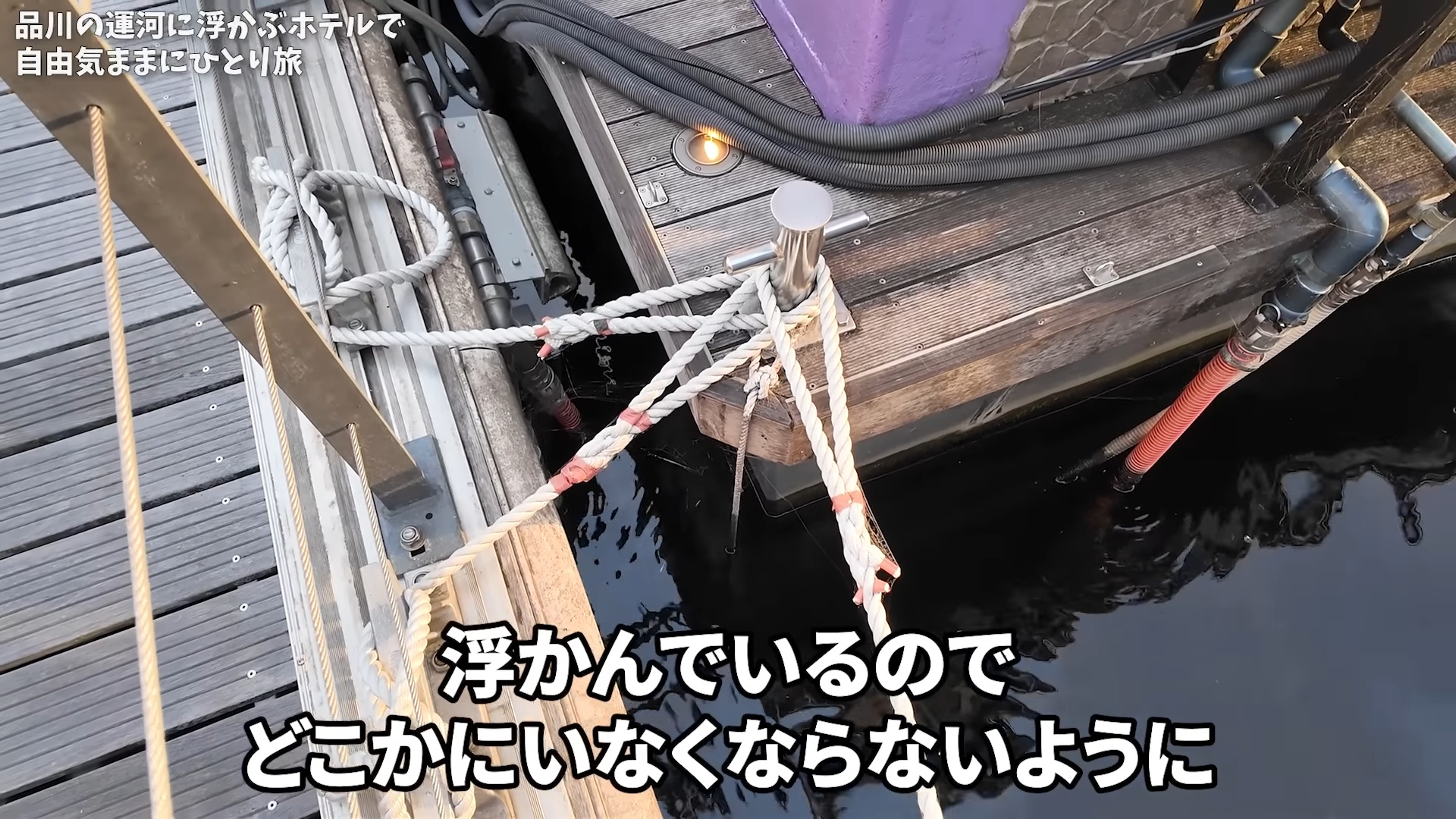 いけちゃん、水上アートホテルで“ヤケ酒”の画像