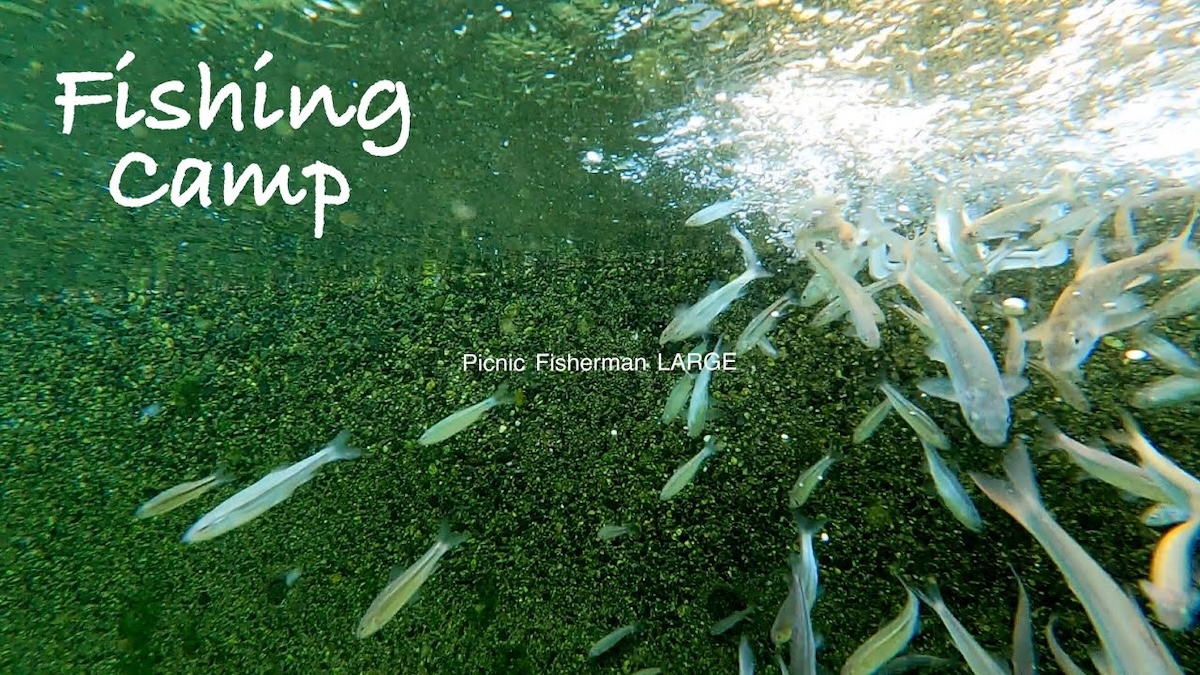 釣り歴40年以上、自宅の人工池に小魚大放流