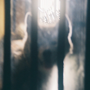 『にほひがそこに』