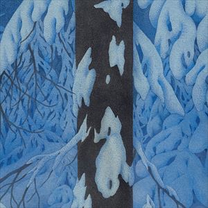 Cardinals「The Burning Of Cork」ジャケット