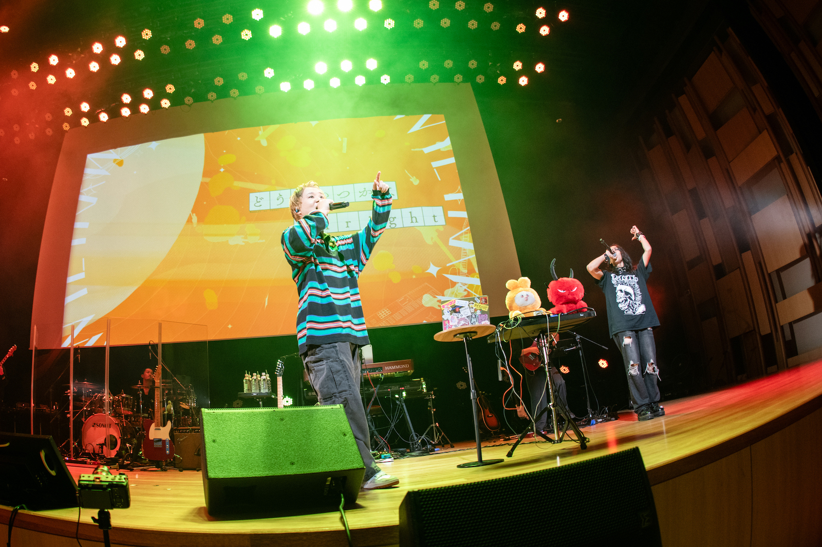 キツネリ(撮影=星野耕作)