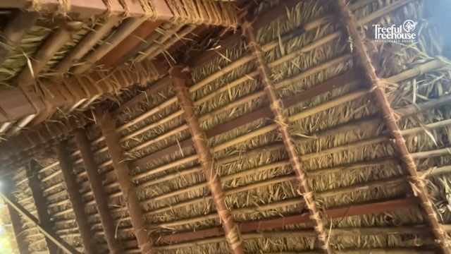 キジーが作り上げたツリーハウス