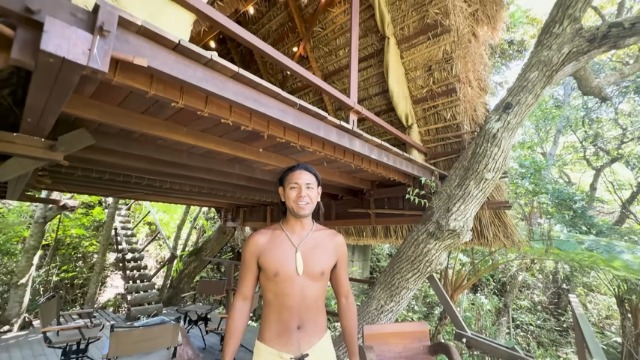 キジーが作り上げたツリーハウス