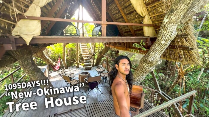 “沖縄のターザン”によるツリーハウス完成