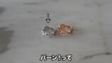 指原莉乃と大野真理子の私物ジュエリー