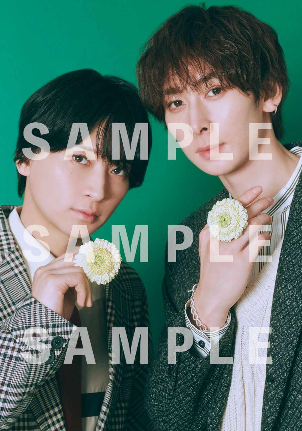 「TVガイドStage Stars vol.31」増刷の画像