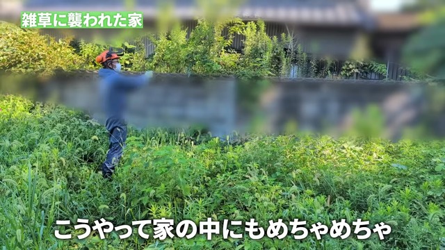 カネヤンが雑草駆除し綺麗になった空き家