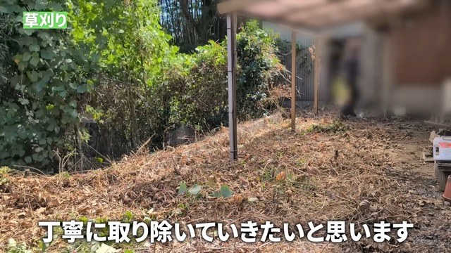 カネヤンが雑草駆除し綺麗になった空き家