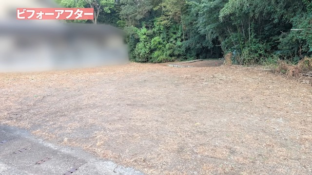 カネヤンが雑草駆除し綺麗になった空き家