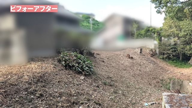 カネヤンが雑草駆除し綺麗になった空き家