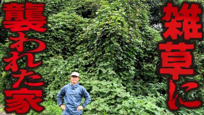 雑草で覆われた家を“一掃”する様子が爽快