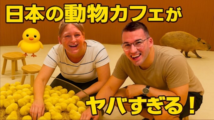 外国人YouTuber、日本の動物カフェを体験　サービスの充実度を絶賛「最高な場所ね」