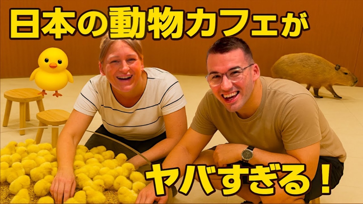 外国人YouTuber、日本の動物カフェを体験