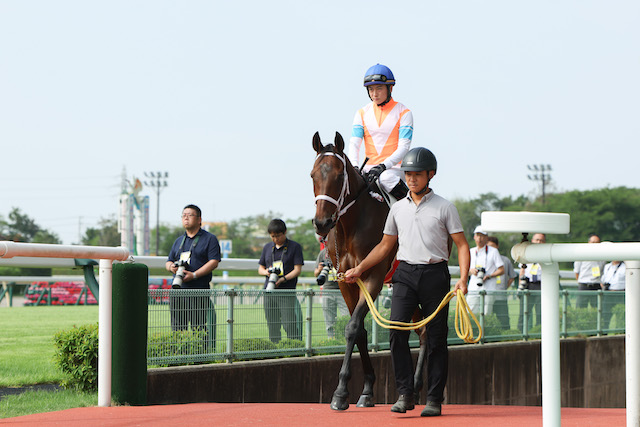 『ザ・ロイヤルファミリー』初心者も問題なしの画像