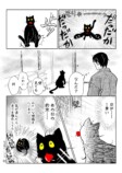 【漫画】”懐かない”猫になぜ夢中になる？の画像